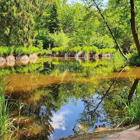 Midden In De Friese Bossen Op Landgoed Princenhof Oranjewoud ภายนอก รูปภาพ