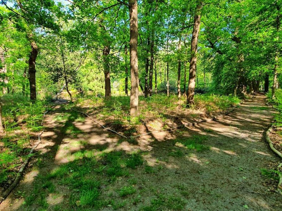 Midden In De Friese Bossen Op Landgoed Princenhof Oranjewoud ภายนอก รูปภาพ