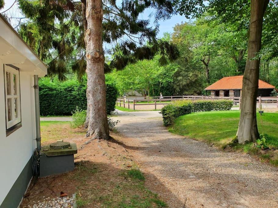 Midden In De Friese Bossen Op Landgoed Princenhof Oranjewoud ภายนอก รูปภาพ