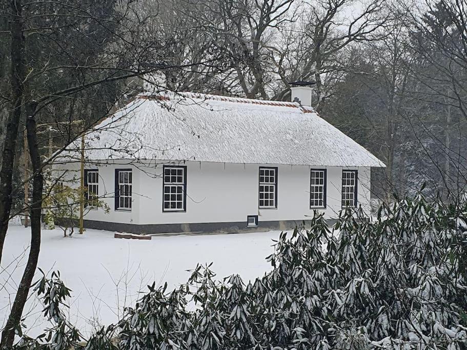Midden In De Friese Bossen Op Landgoed Princenhof Oranjewoud ภายนอก รูปภาพ