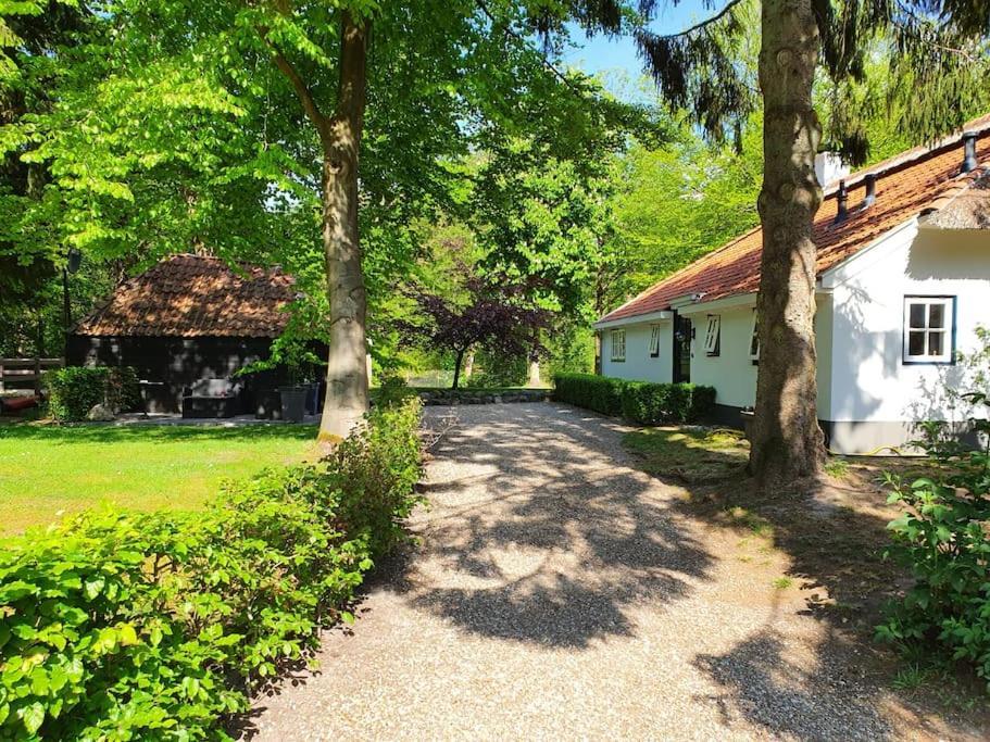 Midden In De Friese Bossen Op Landgoed Princenhof Oranjewoud ภายนอก รูปภาพ