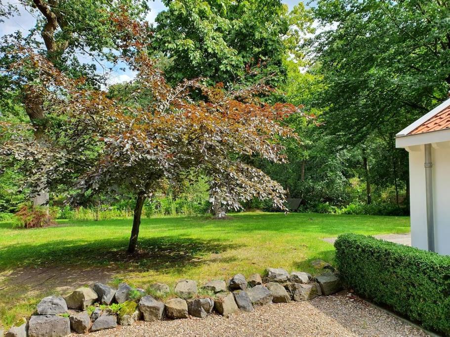 Midden In De Friese Bossen Op Landgoed Princenhof Oranjewoud ภายนอก รูปภาพ