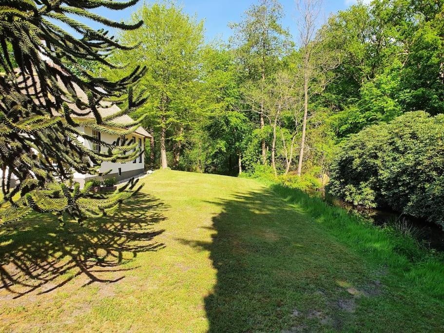 Midden In De Friese Bossen Op Landgoed Princenhof Oranjewoud ภายนอก รูปภาพ